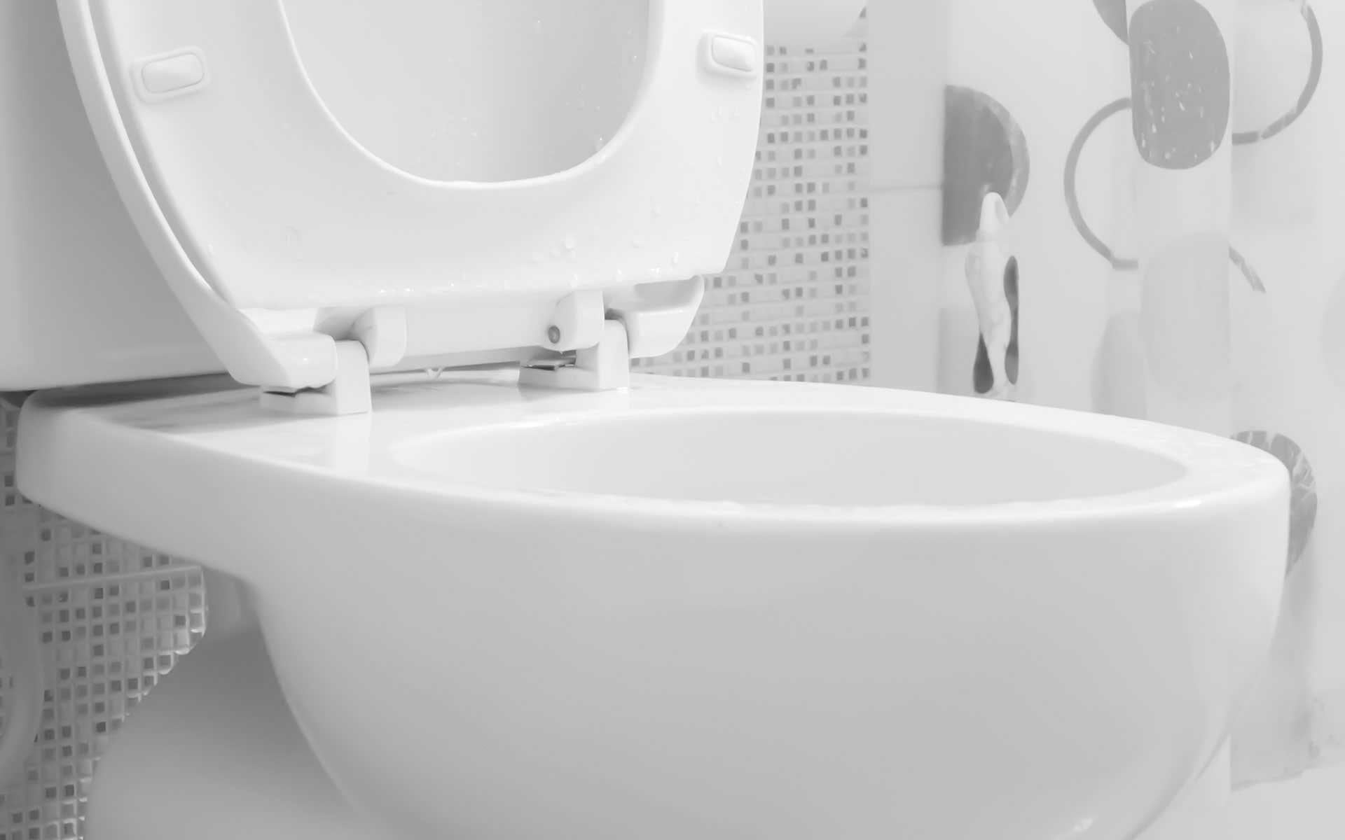 North Conway Toilet Repair